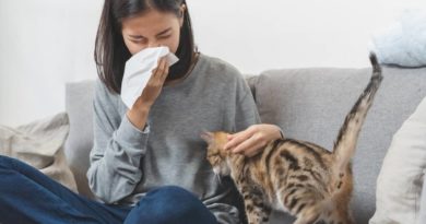 Kako držati mačku u stanu ako imate alergiju na mačke?