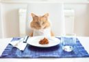 Koja je ljudska hrana bezbedna za mačke?