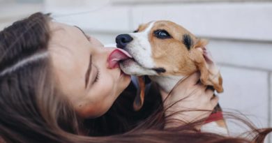 Zašto psi ližu vlasnike?