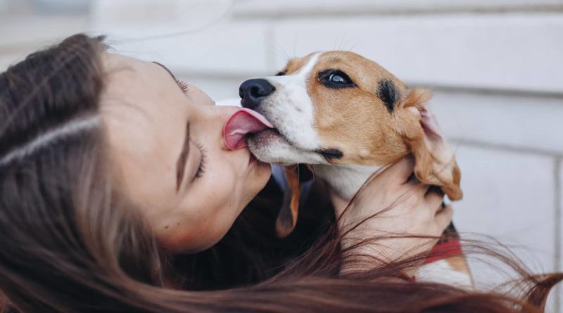 Zašto psi ližu vlasnike?