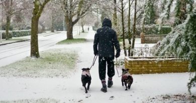 pas-šetnja-sneg-zima