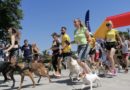 Održana prva trka pasa u paru
