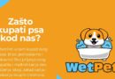 Otvoren lokal za samouslužno kupanje pasa u Beogradu