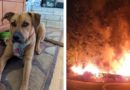 Pas spasio vlasnike od požara