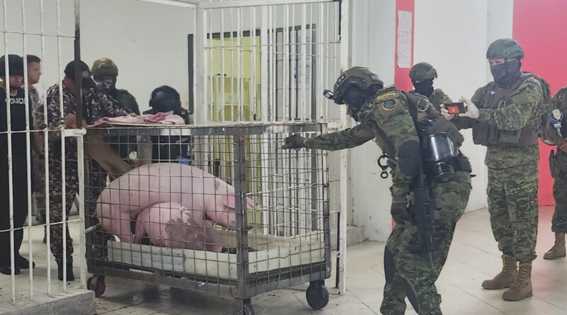 Svinje zatvor Ekvador Foto:Fuerzas Armadas del Ecuador via Twitter/via REUTERS