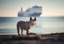 Psi koji su preživeli brodolom Titanika