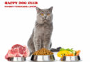 Za dugovečan život mačke važan je pravilan izbor hrane