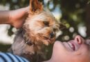 Nove studije su pokazale da neki ljudi više vole pse nego druge ljude