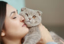 Iskazivanje ljubavi prema mački naziva se ailurofilija